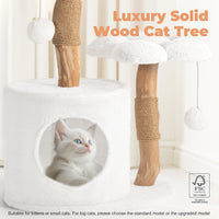 Easyego Modern Cat Tree, 26.3" Aesthetic Wood Cat Tree Tower for Small Cats – Essentials for Cats - White / 26.3'' - image 2
