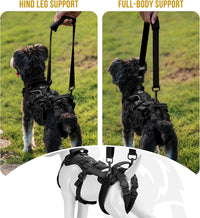 OneTigris Dog Lift Harness for Small Dogs XS - X-Small / Black - image 2