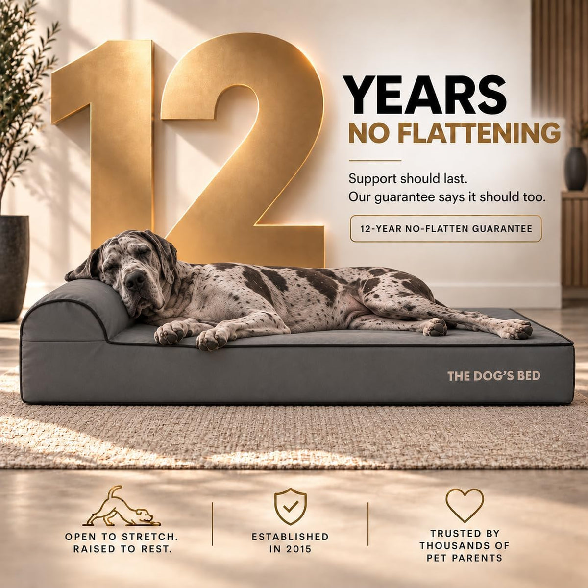 The Dog’s Bed Orthopedic Memory Foam Dog Bed with Headrest XL 6-Inch – Essentials for Dogs - Grey with Black Trim / XXL (54"L x 36"W x 6"Th) - image 3