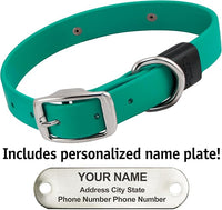 Biothane Custom Dog Collar – Waterproof, Stink-Proof Personalized Collar with Name & Phone Number – Durable, Many Sizes and Colors – Assembled in USA – Assembled in USA (Teal)