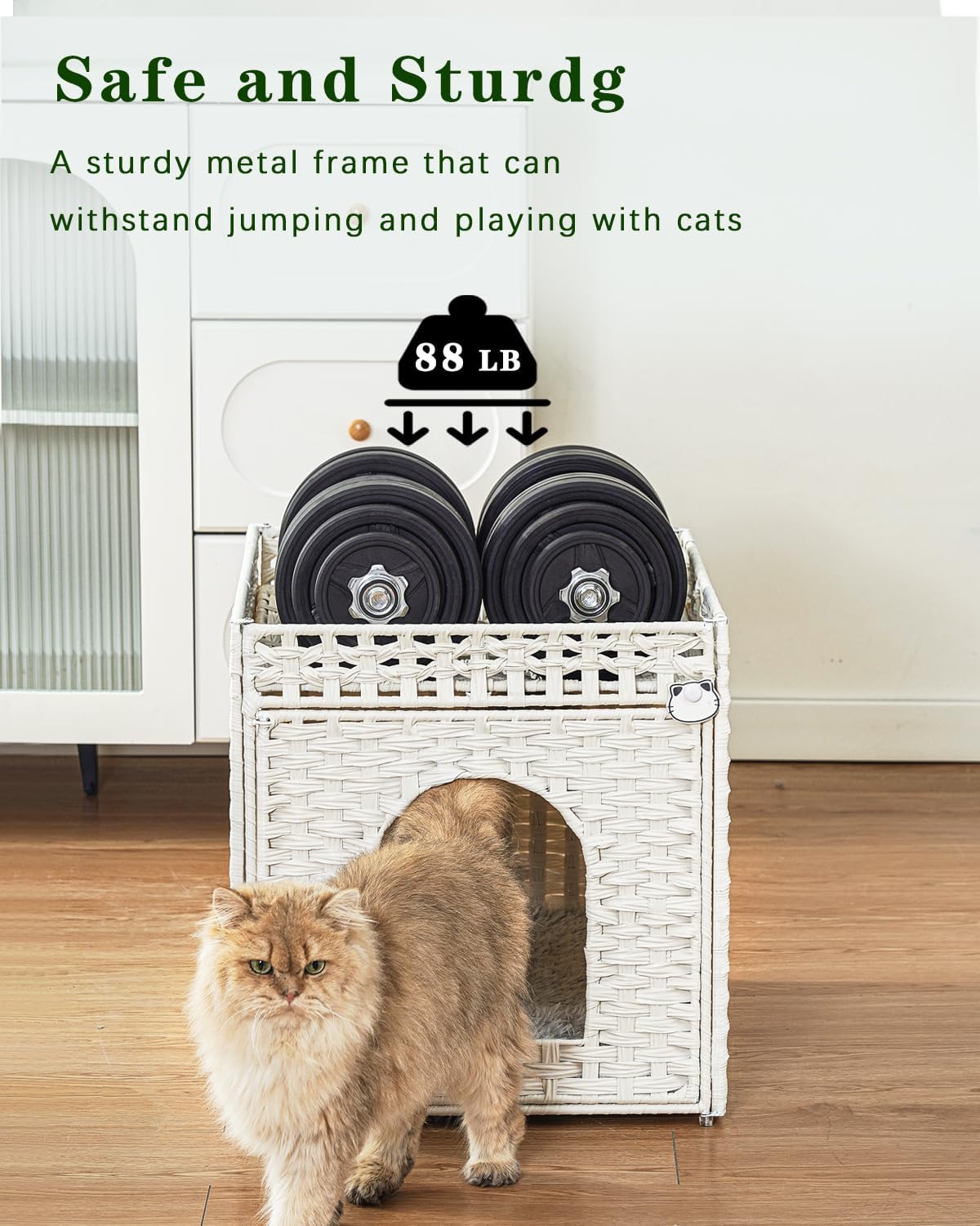 Cat Beds Indoor Kitten House, PE Rattan Cat Cave - White / Rectangle-XL - image 3