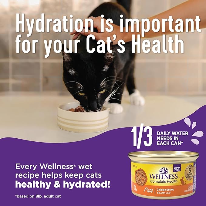 Wellness Complete Health Natural Grain Free Wet Canned Cat Food, Chicken & Lobster Pate, 5-Ounce Can (Pack of 24)
