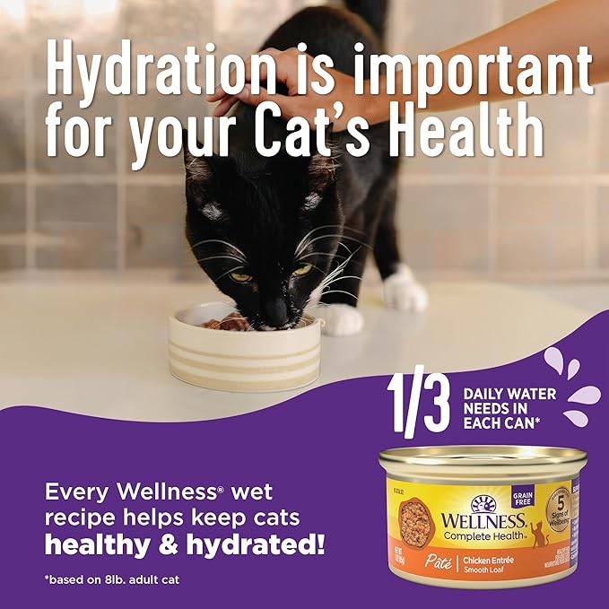 Wellness Complete Health Pate Adult Wet Cat Food, Natural, Protein-Rich, Grain Free, 3 Ounce, 24 Pack, (Beef & Salmon)