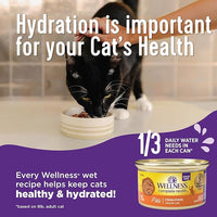Wellness Complete Health Sliced Adult Wet Cat Food, Natural, Protein-Rich, Grain Free, 5.5 Ounce, 24 Pack, (Turkey & Salmon Entrée)