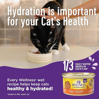 Wellness Complete Health Pate Adult Wet Cat Food, Natural, Protein-Rich, Grain Free, 3 Ounce, 24 Pack, (Chicken)