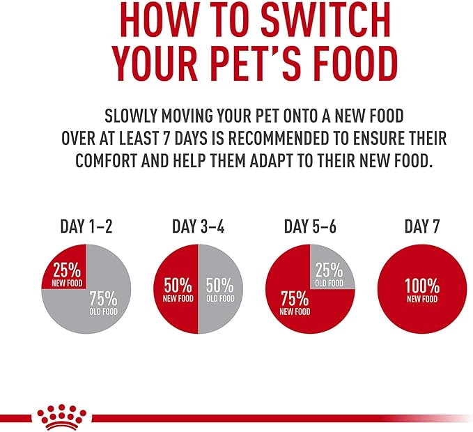 Royal Canin Feline Digestive Care Thin Slices in Gravy Wet Cat Food, 5.1 oz can (24-Count)