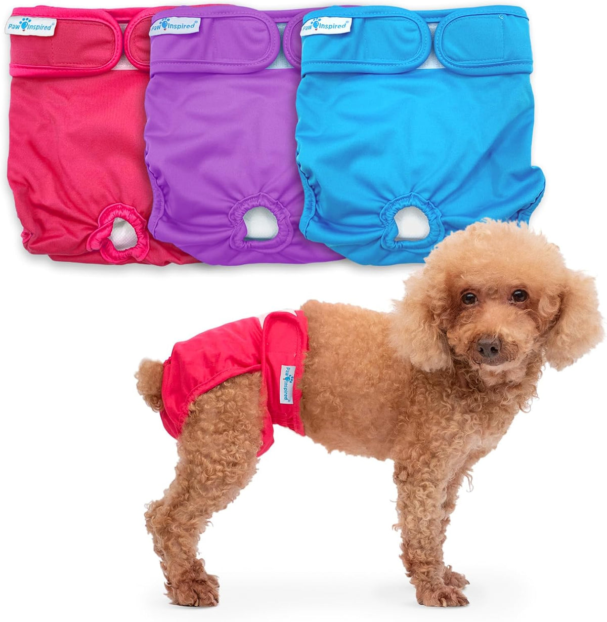 Paw Inspired Washable Dog Diapers, Assorted and White Lining - Assorted (White Lining) / Small (3 ct.)
