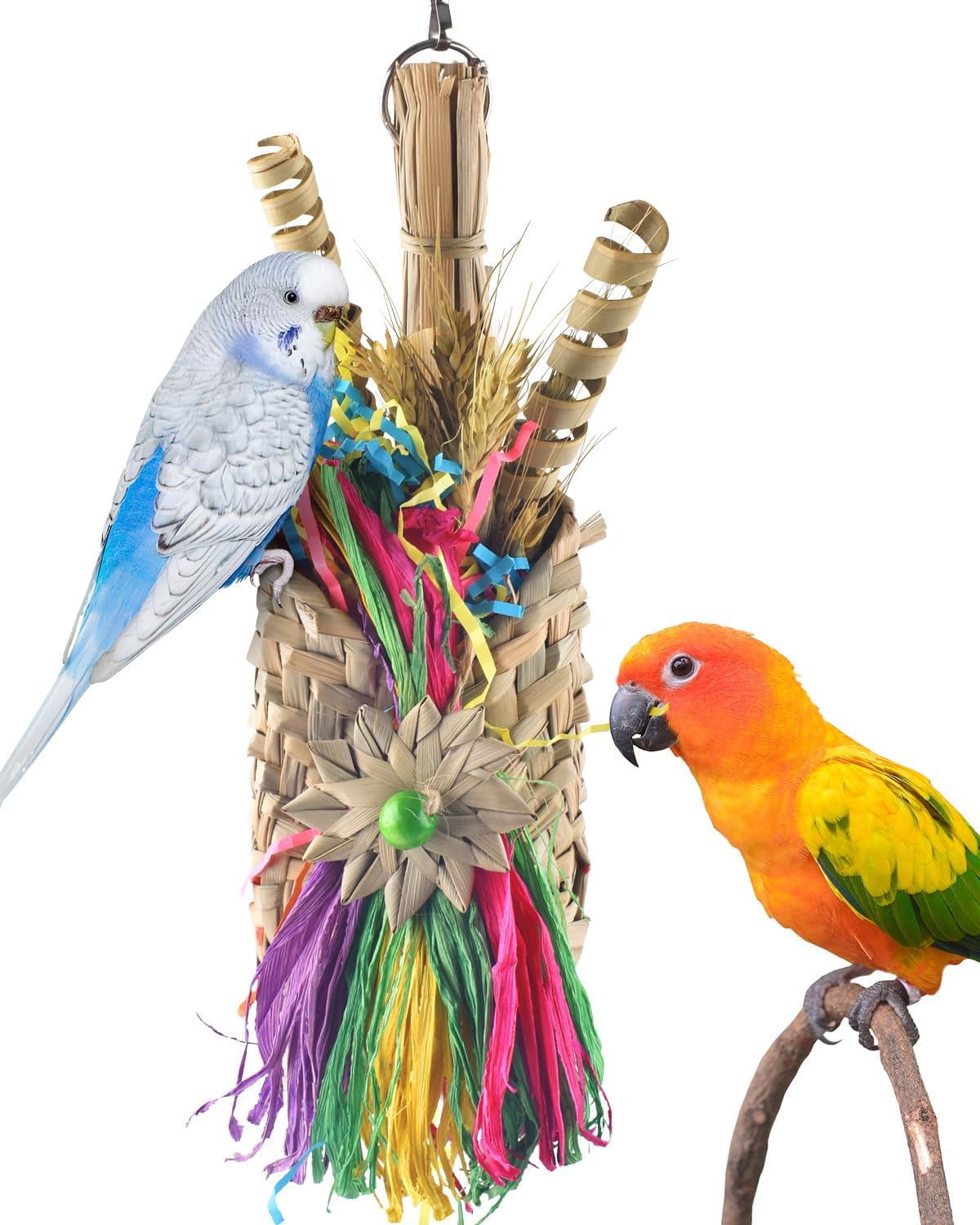 Bissap Bird Chew Toys, Parrot Foraging Shredder Natural Palm Frond Hanging Cage Toy for Conure - Bag