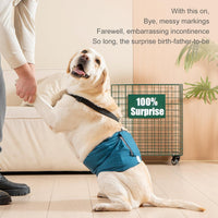 Avont 3 Pack Dog Diapers Male with Suspenders - Black/ Dark Grey/ Navy Blue / M / 3 - image 4