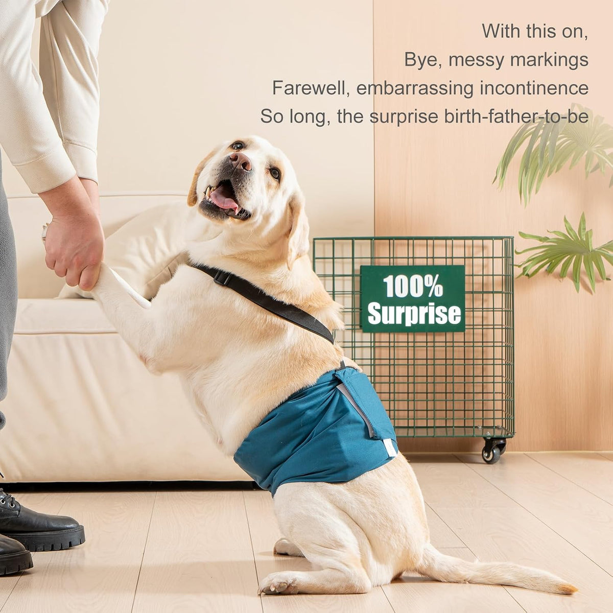 Avont 3 Pack Dog Diapers Male with Suspenders - Black/ Dark Grey/ Navy Blue / M / 3 - image 4