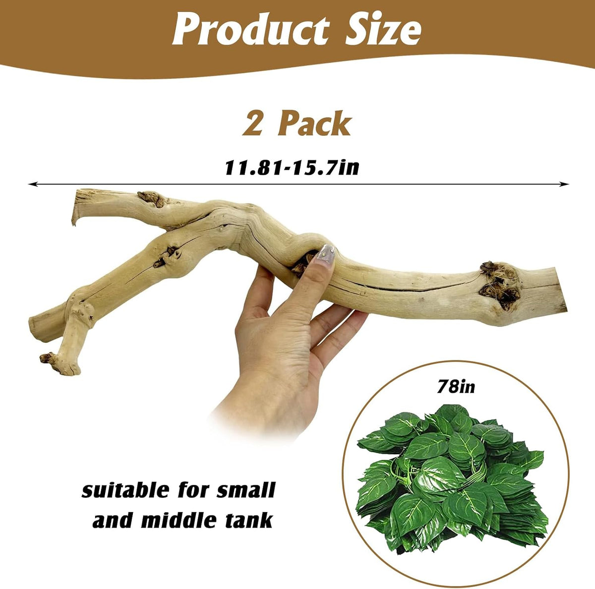 VCEPJH Snake Climbing Branch - Panlong Wood (L:13.7"-15.7"-2pcs) / 2 - image 3