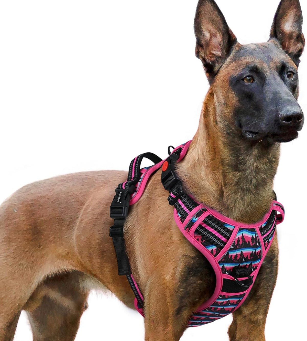 rabbitgoo Dog Harness for Large - Mountain Rose / X-large