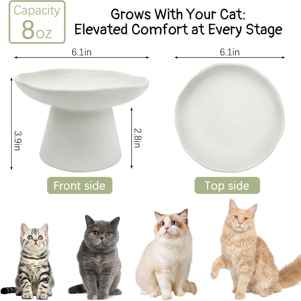 VCEPJH Elevated Cat Bowls 6.1in Wide Shallow Ceramic Raised Food Dish – Essentials for Cats - White(Pack of 2) - image 2