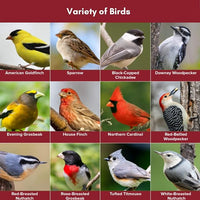 Blue Seal Nature's Choice Wild Bird Seed | High Energy Blend, Sunflower and White Safflower Seeds, No Filler | 20 Pound Bag