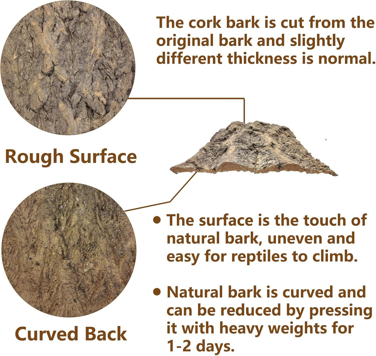 2PCS Cork Terrarium Background - 2Pcs-15.7"x11.8" - image 3