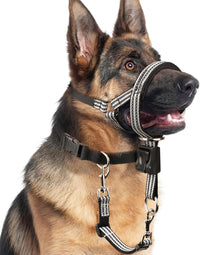 BARKLESS size L no pull dog head collar with reflective threads