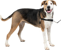 PetSafe Easy Walk Harness, No Pull Dog Harness, Royal Blue - Black/Silver / X-Large / 1 - image 2