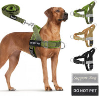 SlowTon No Pull Dog Harness and Leash Set, Heavy Duty - Green / Large