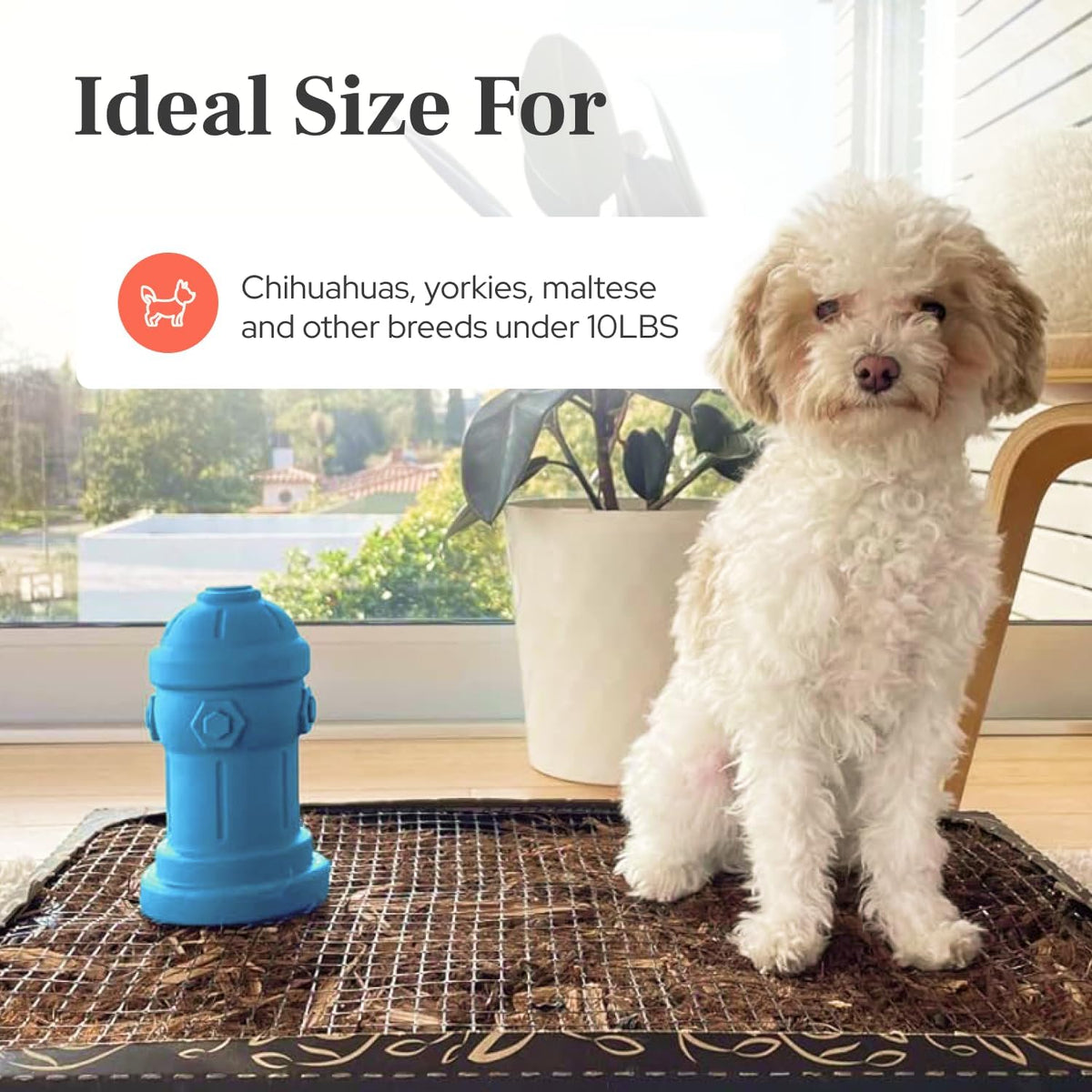 Small Dog Fire Hydrant 4x7 Silicone Soft Potty Training Aid for Small - Blue - image 2