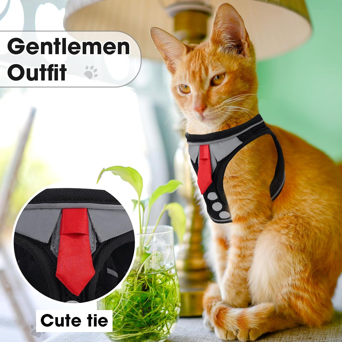 Cat Harness and Leash Set for Walking Escape Proof Vest for Kitten – Essentials for Cats - Black / Extra Small - image 2