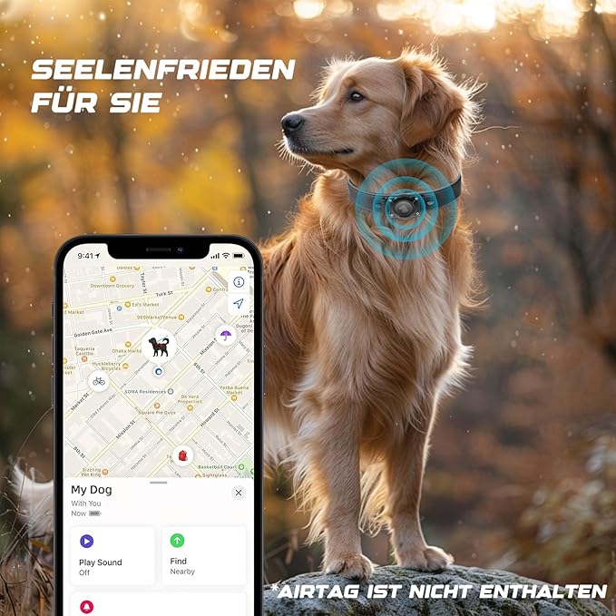 AirTag Dog Collar - Leather Dog Collar with Air Tag Holder | IPX8 Waterproof, Reflective, High - End, Adjustable Soft Padded | Dog GPS Tracker Collars Fit for Medium Large Dogs (Black, M)