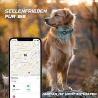 AirTag Dog Collar - Leather Dog Collar with Air Tag Holder | IPX8 Waterproof, Reflective, High - End, Adjustable Soft Padded | Dog GPS Tracker Collars Fit for Medium Large Dogs (Black, XL)
