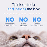 Boxie® Unscented 30 Day Natural Odor Control Cat Litter, 6.5lb Lightweight Plant Based Kitty Litter