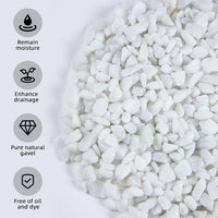 Silica Gravel, Multi-Purpose Mixed Silica Sand for Fire Pits - 5LB / White Large - image 3