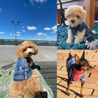 Pet Dog Cat Blue Denim Jeans Jacket Coat Vest - BIG FRENCHIES