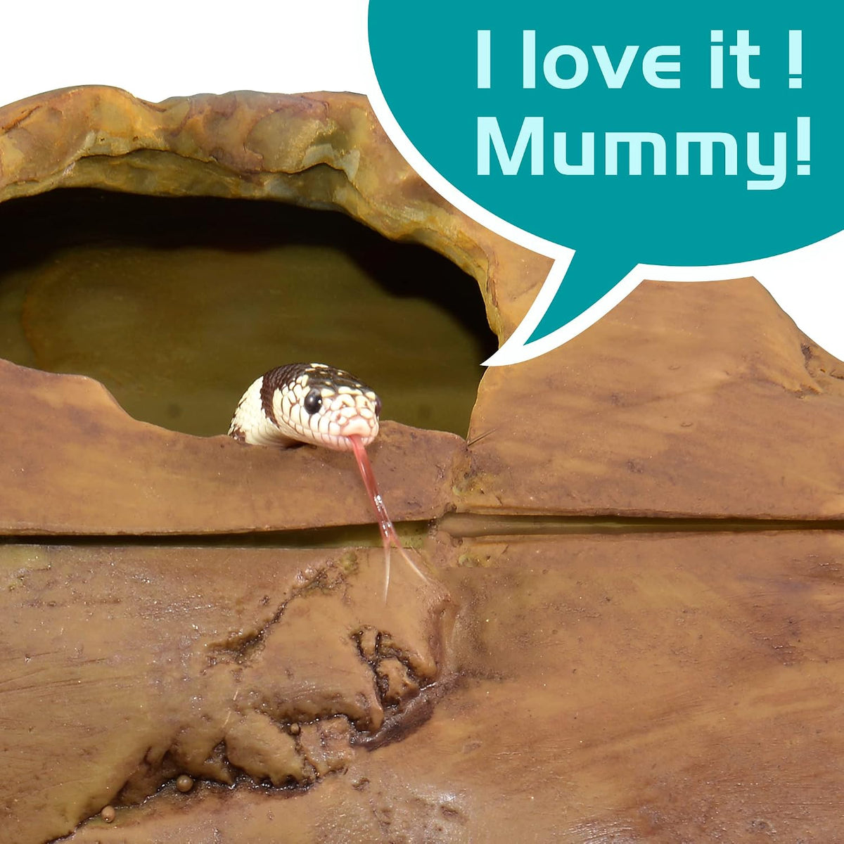 Antidious Snake Hide Cave for Gecko Shedding - Medium - image 4