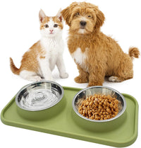 Double Dog Food Bowls Stainless Steel with No Spill Non Skid Silicone - 【Green】