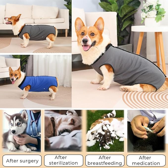 Dog Surgery Recovery Suit,Abdominal Surgical Suit for Dogs,Recovery Suit for Dogs,Prevent Licking Surgical Wound Dog Cone Alternative Blue L