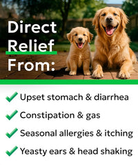BARK&SPARK Dog Probiotics for Digestive Health w/Enzymes - Diarrhea Gas Treatment Upset Stomach Relief - Allergy & Itchy Skin - Pet Probiotics for Dogs - Digestion Supplement Treat (120Ct Chicken)
