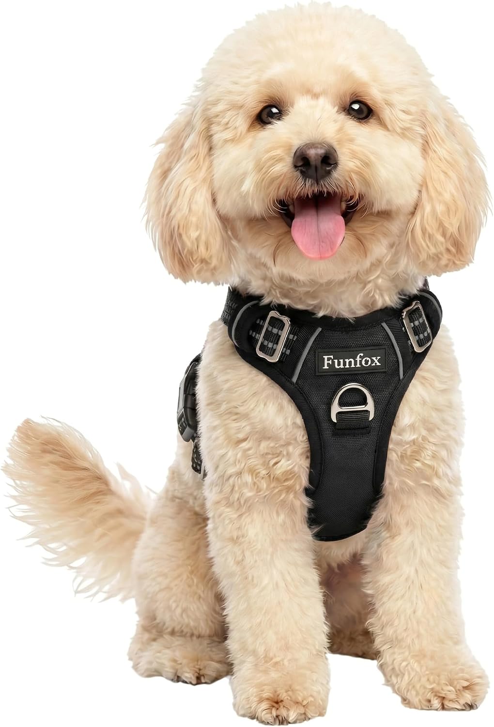 Funfox Dog Harness Medium Sized Dog - Black / Small