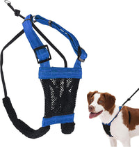 Sporn No Pull Dog Harness - Medium / Blue