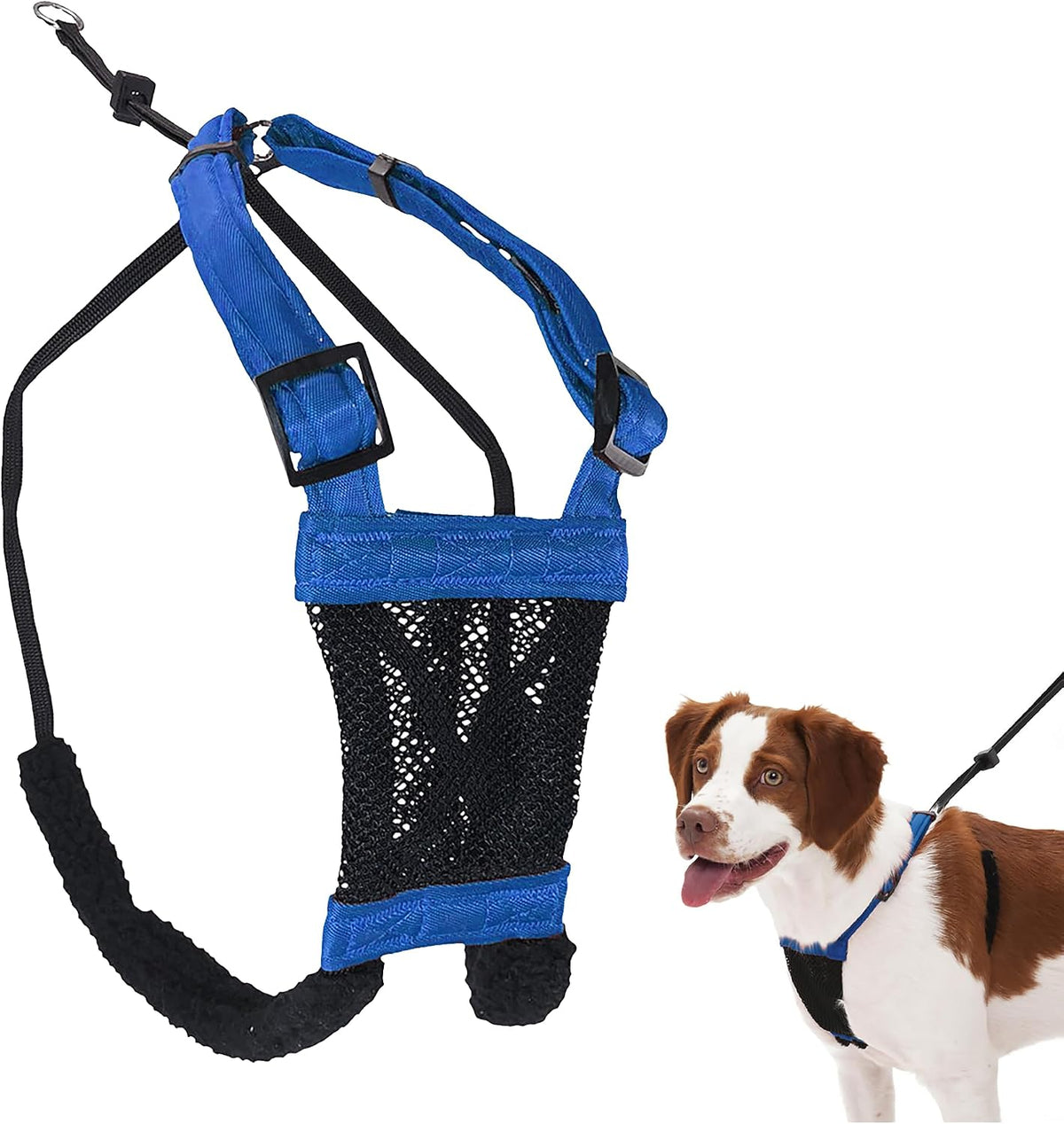 Sporn No Pull Dog Harness - Medium / Blue