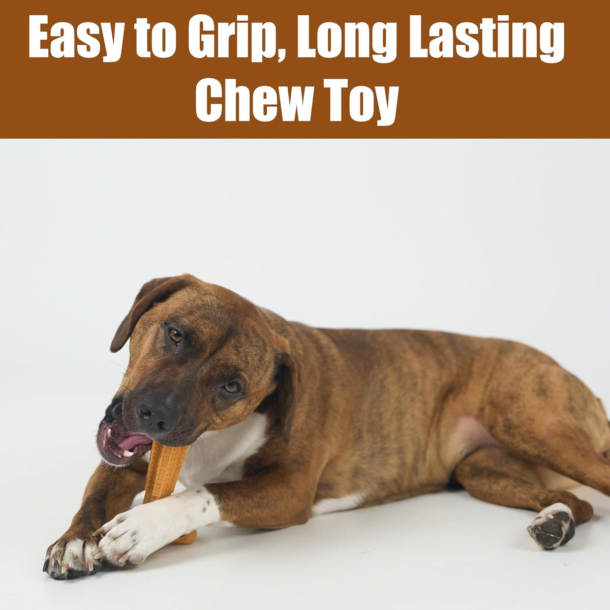 SPOT Bam-Bones Plus T-Bone Dog Chew - Peanut Butter / Medium - image 4