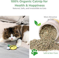 Eco-Friendly Cat Gift Box – 7-Piece Set with Organic Catnip Toys, Feather Wand, Blanket & Pop-Up Cat Cave for Indoor Cats and Kittens