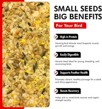 Morning Bird Miracle Meal 1.5 lbs – Soft Food for Birds with Vitamins & Supplements – Packed with Protein, Minerals & Amino Energy – Promotes Strong Feathers, Breeding & Overall Wellness