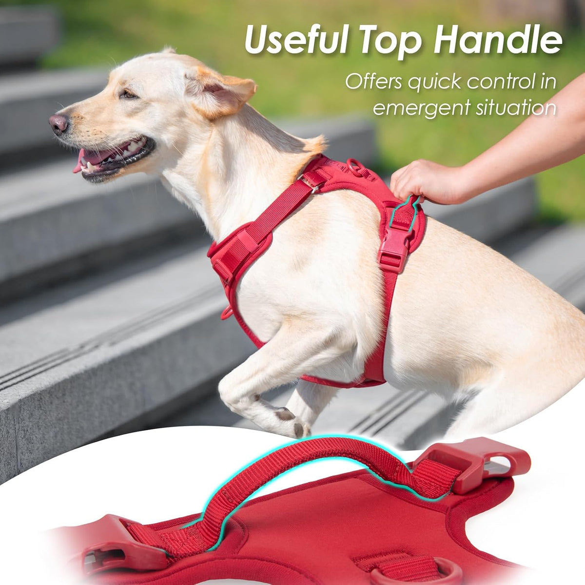 Sunraymascota No Pull Dog Harness for Medium Sized Dogs Puppy Vest - Burgundy Red / L(Neck:20.9-31.5", Chest:24.8-37.4") - image 4