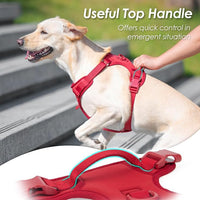 No Pull Dog Harness, Puppy Vest with Front Clip for Small Medium Large Sized Dog(Burgundy Red,L)