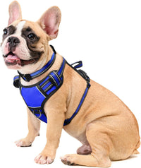 WINSEE Dog/Pet Harnesses No Pull with Dog Collar - Medium / Blue