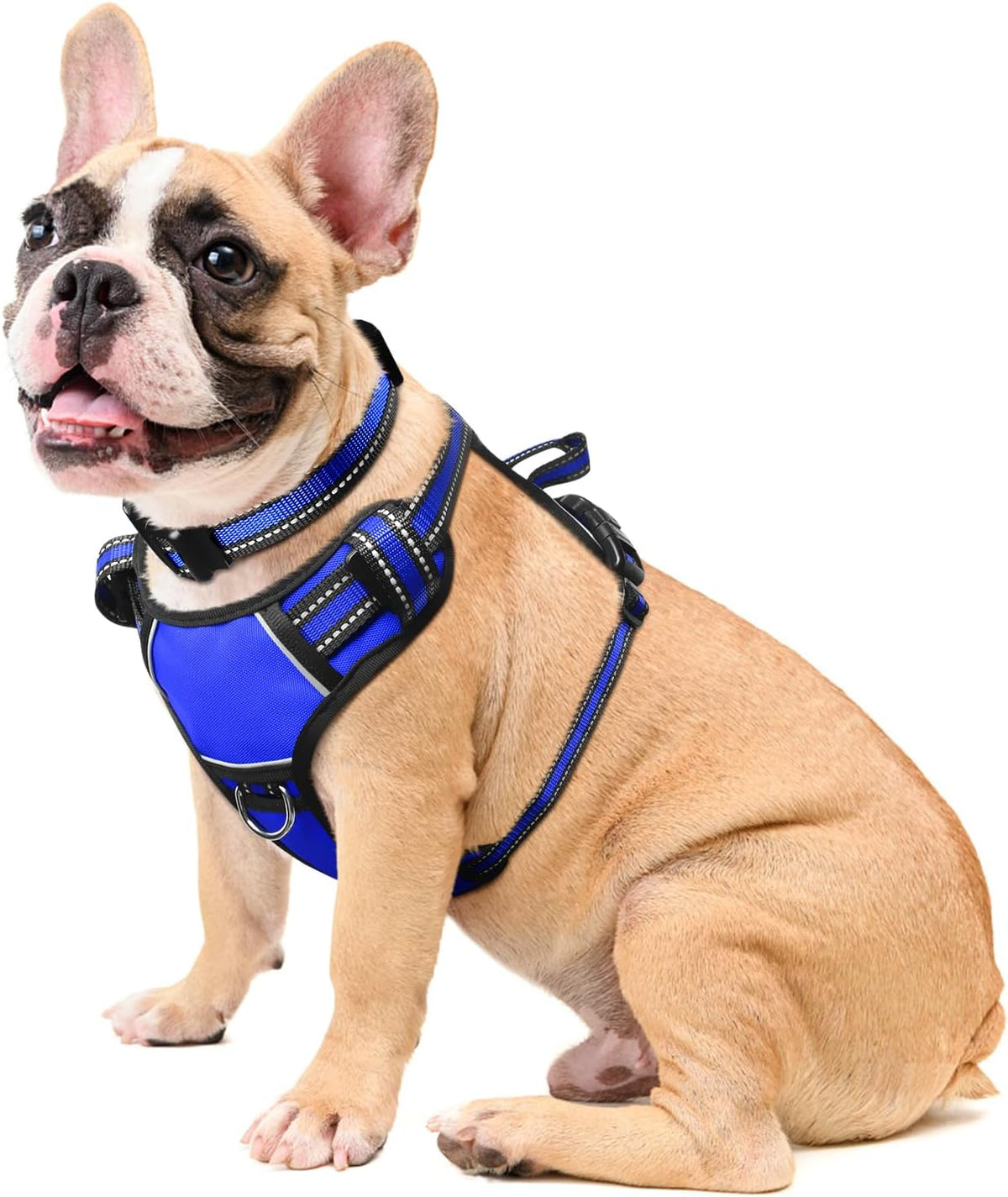 WINSEE Dog/Pet Harnesses No Pull with Dog Collar - Medium / Blue