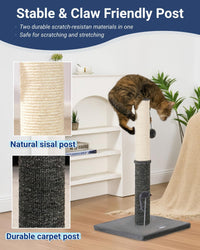 Cat Scratching Post, Cat Scratchers for Indoor Cats with Toys – Essentials for Cats - 29.5" / Smokey Gray - image 2