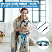 No-Pull Dog Harness with Handle - Escape Proof, Anti-Pulling, Grip Control, Multi-Angle Reflective for Safe Walks & Training, Easy On & Off, Metal Buckle–Pet Harness, Medium/Large Dogs- N H4- Blue