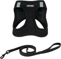 Voyager Step-in Air Cat Harness & Leash Set, XS - Black / XXXS (Chest: 11 - 12")