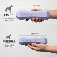 Playology Squeaky Chew Stick Scented Dog Toy - Medium / Lamb - image 3