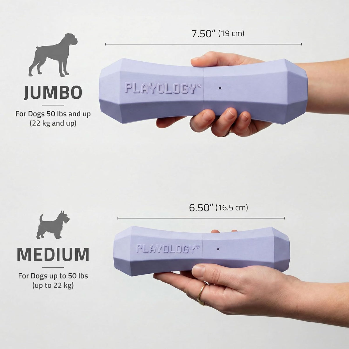 Playology Squeaky Chew Stick Scented Dog Toy - Medium / Lamb - image 3