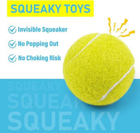 Prime Pets Tennis Balls for Dogs, 2.5 Inch Squeaky Dog Balls for Play & Fetch, Squeaky Tennis Balls for Medium, Large Dogs, Dog Toy Balls