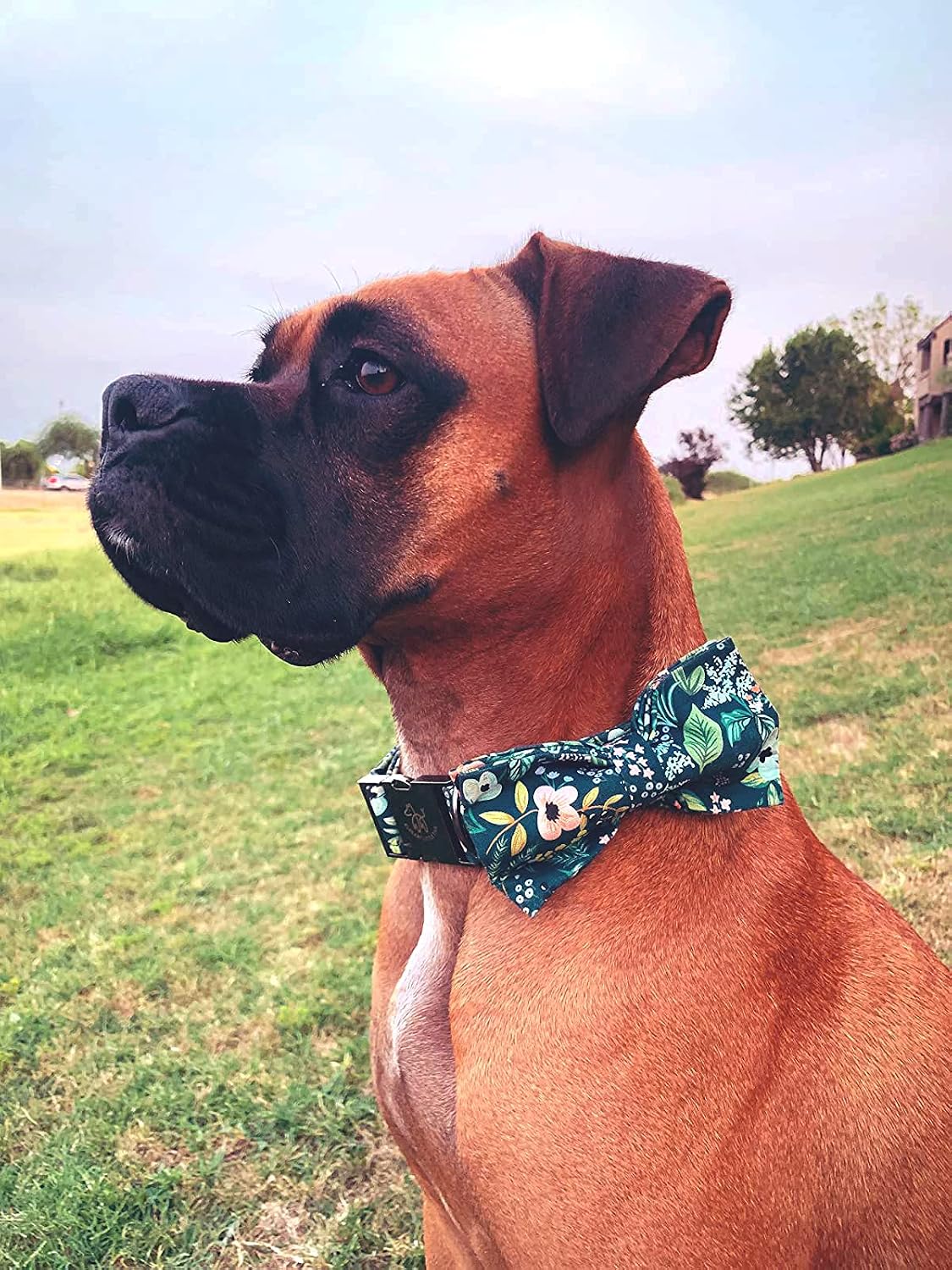 Dog Collar with Bow, Elegant Little Tail Blue Plaid Boy Dog Collar Cute Bow – Essentials for Dogs - Dark Blue Flower / X-Large (Pack of 1) - image 4